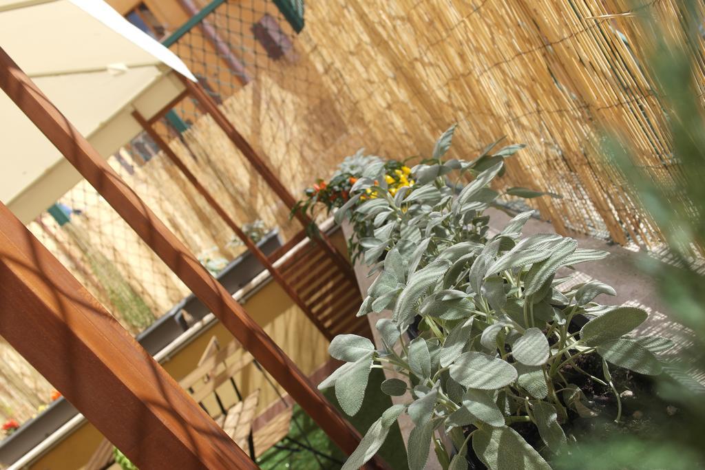 Candia Green House B&B Roma Ngoại thất bức ảnh